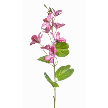 Deko Zweig Bauhinia DOWLER, rosa, 85cm