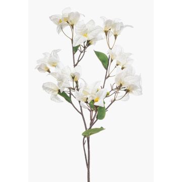Deko Zweig Bougainvillea MOWLER mit Blüten, creme, 70cm