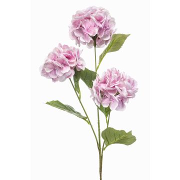 Künstlicher Zweig Hortensie GRACELYN, rosa, 75cm Künstlicher Zweig Hortensie GRACELYN, rosa, 75cm