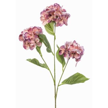 Künstlicher Zweig Hortensie GRACELYN, pfirsich-lila, 75cm Künstlicher Zweig Hortensie GRACELYN, pfirsich-lila, 75cm