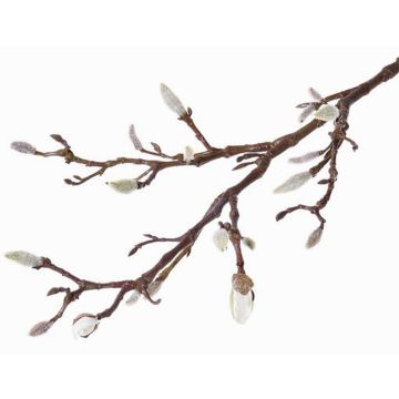 Kunstzweig Magnolie ASANI, weiß, 70cm, Ø1-2cm Kunstzweig Magnolie ASANI, weiß, 70cm, Ø1-2cm