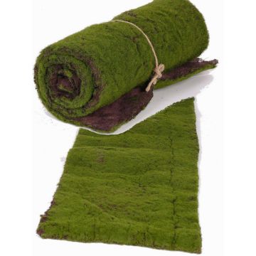 Moosmatte Vlies CUNO, grün-braun, 97x29cm Moosmatte Vlies CUNO, grün-braun, 97x29cm