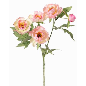 Kunstzweig Pfingstrose LARDUAN, Eco Collection, rosa-weiß, 60cm, Ø7cm