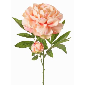 Pfingstrose künstlich WARDUAN, Eco Collection, lachs, 65cm, Ø15cm