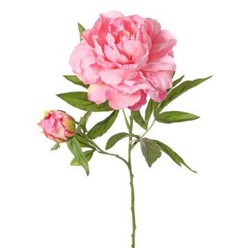 Pfingstrose künstlich WARDUAN, Eco Collection, rosa, 65cm, Ø15cm Pfingstrose künstlich WARDUAN, Eco Collection, rosa, 65cm, Ø15cm