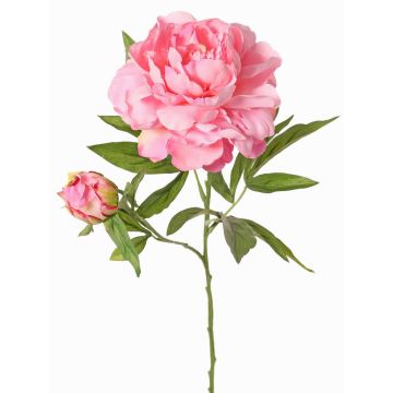 Pfingstrose künstlich WARDUAN, Eco Collection, rosa, 65cm, Ø15cm