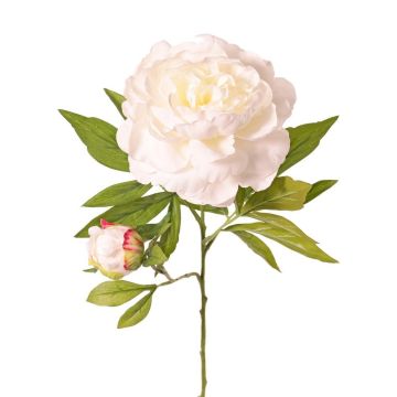 Pfingstrose künstlich WARDUAN, Eco Collection, weiß, 65cm, Ø15cm