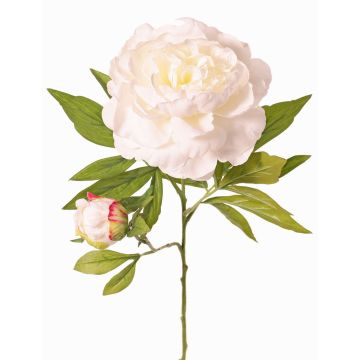 Pfingstrose künstlich WARDUAN, Eco Collection, weiß, 65cm, Ø15cm Pfingstrose künstlich WARDUAN, Eco Collection, weiß, 65cm, Ø15cm