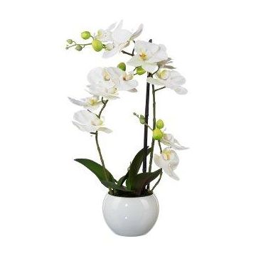 Textil Phalaenopsis Orchidee INAKES, Keramiktopf, Wurzeln, weiß, 40cm