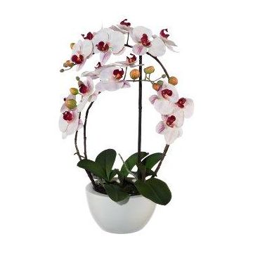 Textil Phalaenopsis Orchidee INAKES, Keramiktopf, Wurzeln, rosa-weiß, 50cm