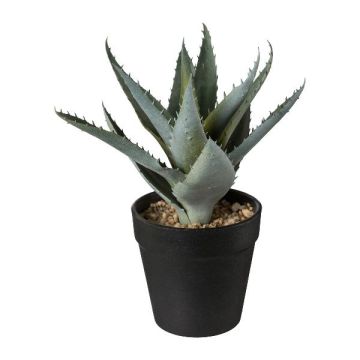 Künstliche Sukkulente Aloe Vera BLORN im Dekotopf, grün, 20cm Künstliche Sukkulente Aloe Vera BLORN im Dekotopf, grün, 20cm
