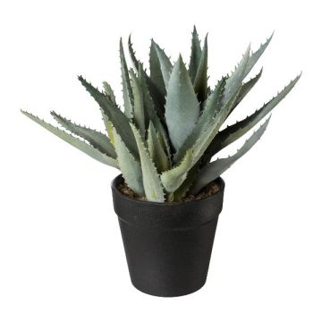 Künstliche Sukkulente Aloe Vera BLORN im Dekotopf, grün, 23cm Künstliche Sukkulente Aloe Vera BLORN im Dekotopf, grün, 23cm