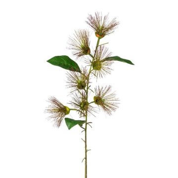 Kunstzweig Zylinderputzer GLIHON mit Blüten, braun, 100cm Kunstzweig Zylinderputzer GLIHON mit Blüten, braun, 100cm