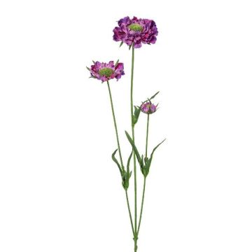 Deko Zweig Scabiosa ATLENTO, violett, 65cm Deko Zweig Scabiosa ATLENTO, violett, 65cm