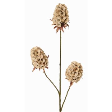 Kunstzweig Bartnelke MARDUEN, beige, 75cm, Ø5cm Kunstzweig Bartnelke MARDUEN, beige, 75cm, Ø5cm