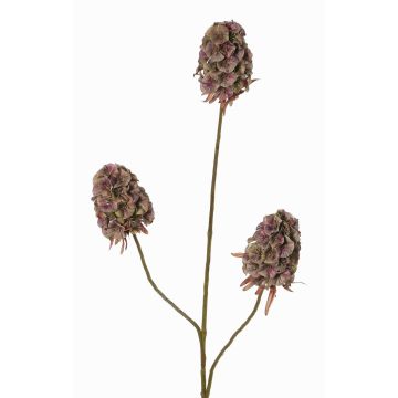 Kunstzweig Bartnelke MARDUEN, grün-rosa, 75cm, Ø5cm Kunstzweig Bartnelke MARDUEN, grün-rosa, 75cm, Ø5cm