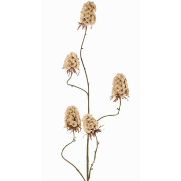 Kunstzweig Bartnelke MARDUEN, beige, 115cm, Ø5cm Kunstzweig Bartnelke MARDUEN, beige, 115cm, Ø5cm