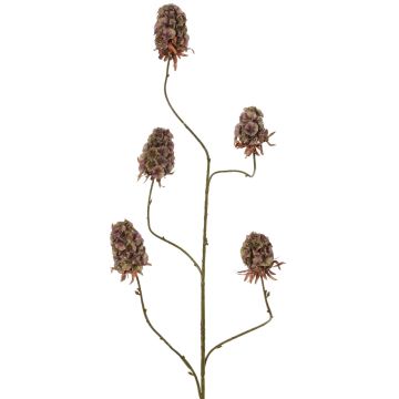 Kunstzweig Bartnelke MARDUEN, grün-rosa, 115cm, Ø5cm