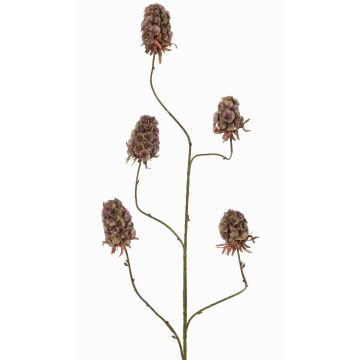 Kunstzweig Bartnelke MARDUEN, grün-rosa, 115cm, Ø5cm Kunstzweig Bartnelke MARDUEN, grün-rosa, 115cm, Ø5cm