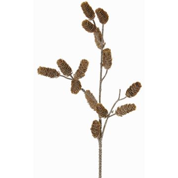 Deko Tannenzweig LONGIH mit Zapfen, braun-weiß, 75cm