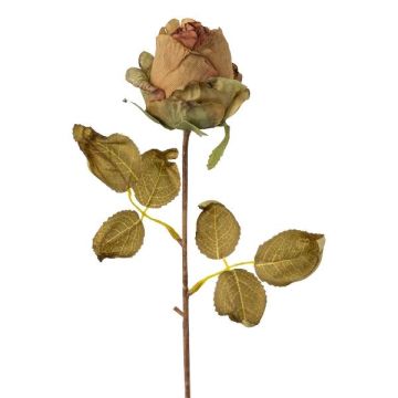 Kunstblume Rose GROLK, Trockenoptik, grün-braun, 45cm, Ø6cm Kunstblume Rose GROLK, Trockenoptik, grün-braun, 45cm, Ø6cm