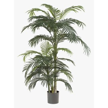 Palme Plastik Arecapalme CAMYRA, 170cm