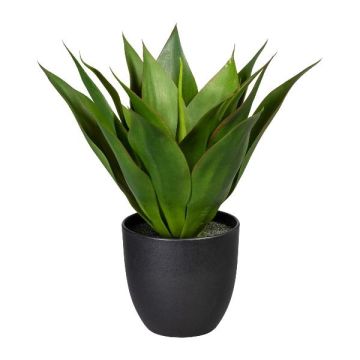 Kunst Sukkulente Drachenbaum-Agave MASTIA im Dekotopf, grün, 35cm