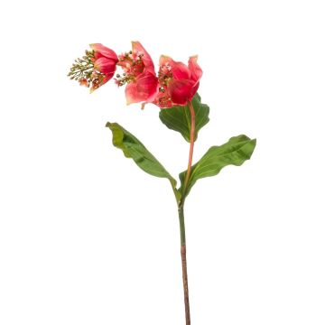 Künstliche Blume Medinilla NIVARD, koralle, 110cm