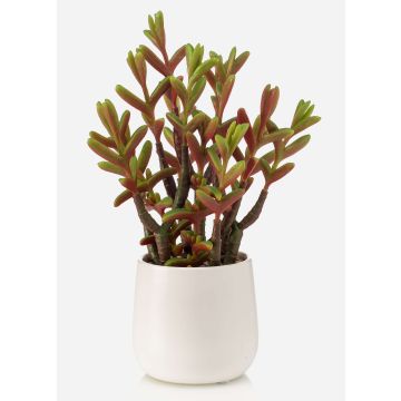 Künstliche Sukkulente Sedum reflexum NORSHO im Dekotopf, grün-rot, 27cm
