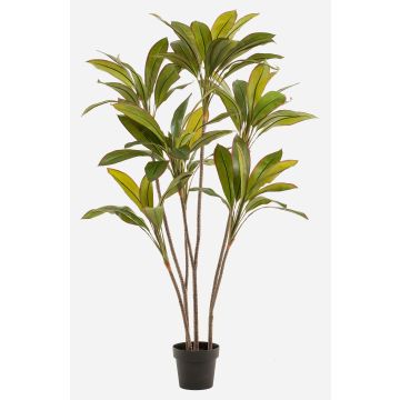 Kunstpflanze Cordyline MEIKE, Kunststämme, Dekotopf, grün, 160cm