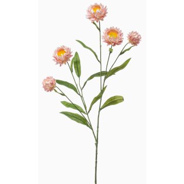Deko Zweig Strohblume SNAVIK, rosa, 70cm Deko Zweig Strohblume SNAVIK, rosa, 70cm