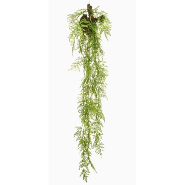 Künstliche Hängepflanze Asparagus Plumosus SHALLON auf Ast, grün, 150cm Künstliche Hängepflanze Asparagus Plumosus SHALLON auf Ast, grün, 150cm