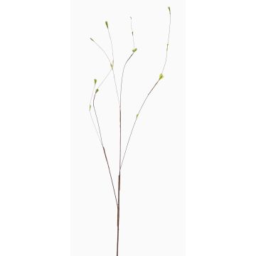 Dekozweig Birke EMROLS, grün, 130cm Dekozweig Birke EMROLS, grün, 130cm
