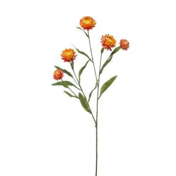 Deko Zweig Strohblume SNAVIK, orange, 70cm