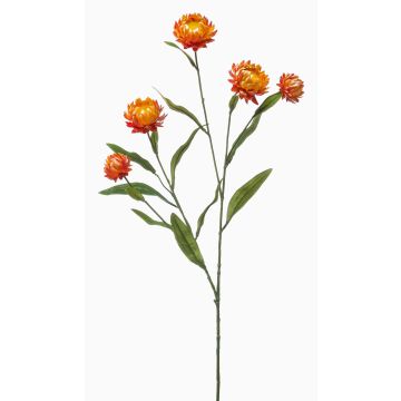 Deko Zweig Strohblume SNAVIK, orange, 70cm Deko Zweig Strohblume SNAVIK, orange, 70cm