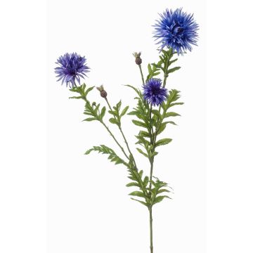 Dekozweig Kornblume BROLIX, hellblau, 100cm, Ø6-12cm Dekozweig Kornblume BROLIX, hellblau, 100cm, Ø6-12cm