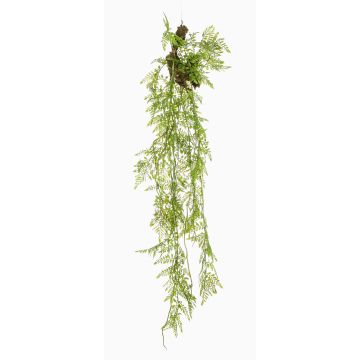 Künstliche Hängepflanze Asparagus Plumosus SHALLON auf Ast, grün, 110cm Künstliche Hängepflanze Asparagus Plumosus SHALLON auf Ast, grün, 110cm