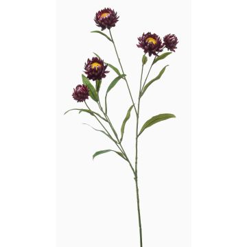 Deko Zweig Strohblume SNAVIK, lila, 70cm Deko Zweig Strohblume SNAVIK, lila, 70cm