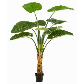 Kunst Pflanze Alocasia Calidora NICAS, Dekotopf, grün, 160cm Kunst Pflanze Alocasia Calidora NICAS, Dekotopf, grün, 160cm