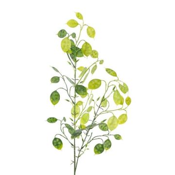 Kunstzweig Silberblatt DRULMI, grün, 75cm Kunstzweig Silberblatt DRULMI, grün, 75cm