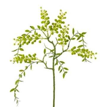 Kunstzweig Mimose KRAVEL mit Knospen, hängend, grün, 60cm
