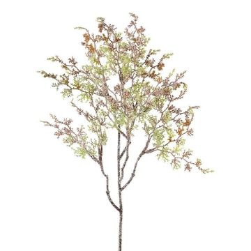 Kunstzweig Asparagus sprengeri GRUMEL, gefroren, grün-braun-weiß, 65cm Kunstzweig Asparagus sprengeri GRUMEL, gefroren, grün-braun-weiß, 65cm
