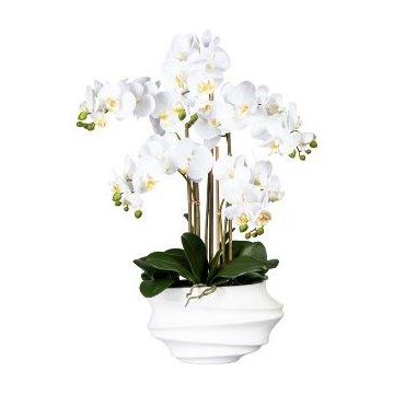 Kunst Phalaenopsis Orchidee ZALBROK, Dekovase weiß, Wurzeln, weiß, 75cm