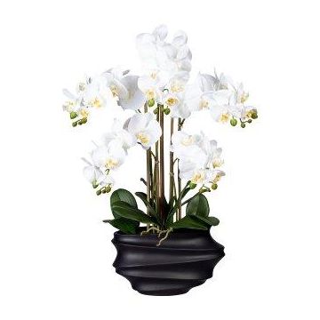 Kunst Phalaenopsis Orchidee ZALBROK, Dekovase schwarz, Wurzeln, weiß, 75cm