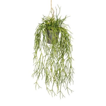 Kunst Rhipsalis Blumenampel SKRAKY, Dekotopf, hängend, grün, 60cm Kunst Rhipsalis Blumenampel SKRAKY, Dekotopf, hängend, grün, 60cm