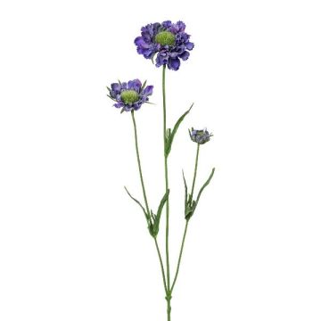 Deko Zweig Scabiosa ATLENTO, lila, 65cm Deko Zweig Scabiosa ATLENTO, lila, 65cm