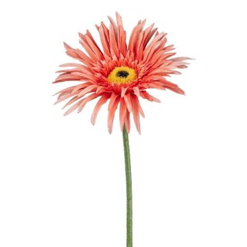 Dekoblume Gerbera FELISY, lachs, 65cm