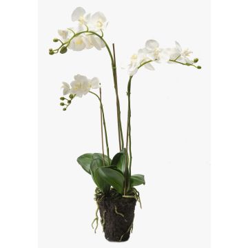 Künstliche Phalaenopsis Orchidee PABLA, Erdball, weiß, 70cm