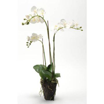 Künstliche Phalaenopsis Orchidee PABLA, Erdball, weiß, 70cm
