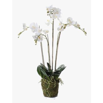 Künstliche Phalaenopsis Orchidee PABLA, Moosball, weiß, 90cm
